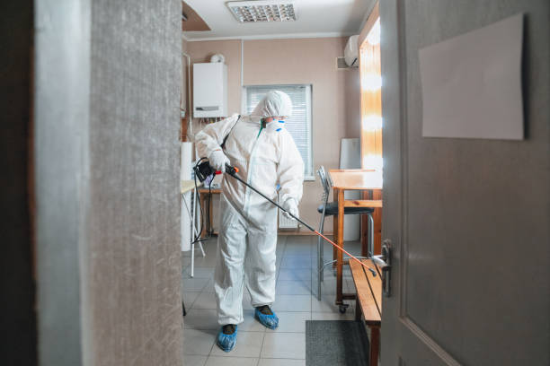 Sumner, IA Mold Inspection, Removal & Remediation Company